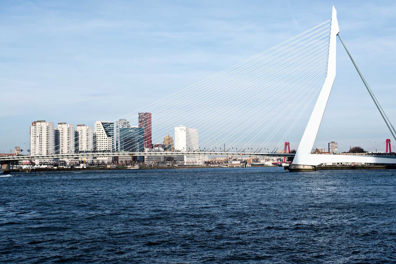 Things to do and see in Rotterdam: Erasmusbrug / Erasmus Bridge