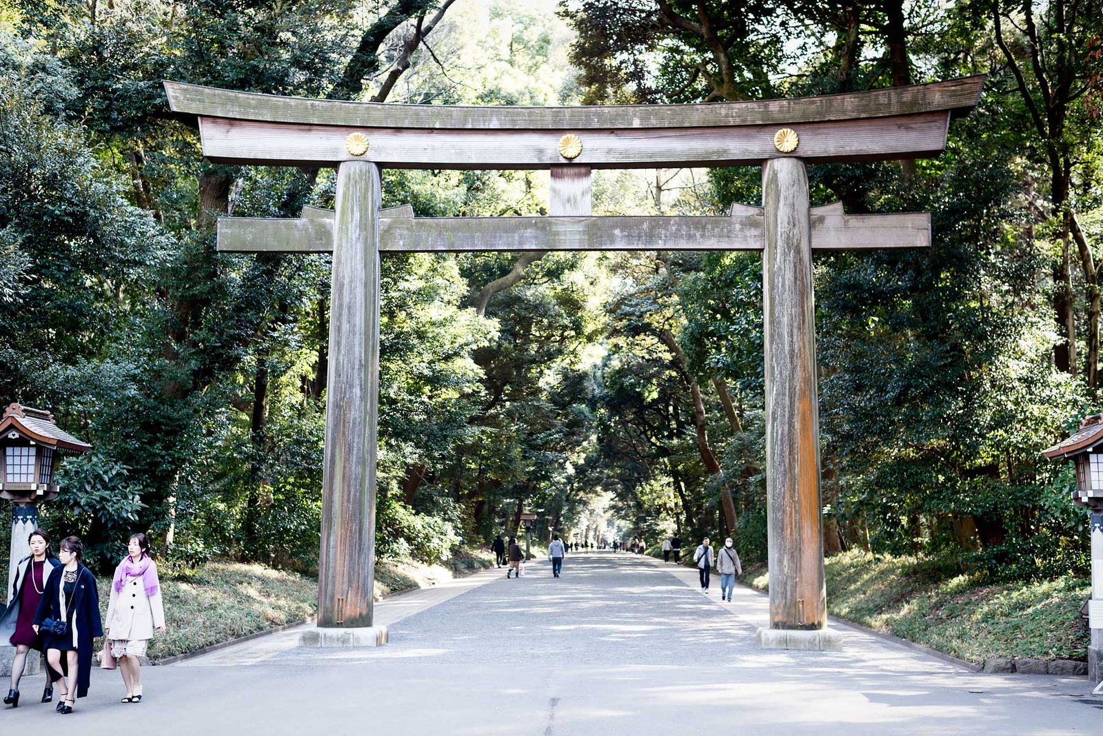 Favorite Things to Do & Places to Eat in Tokyo - Video & Photos on Urban Pixxels (urbanpixxels.com) | Meiji Shrine 