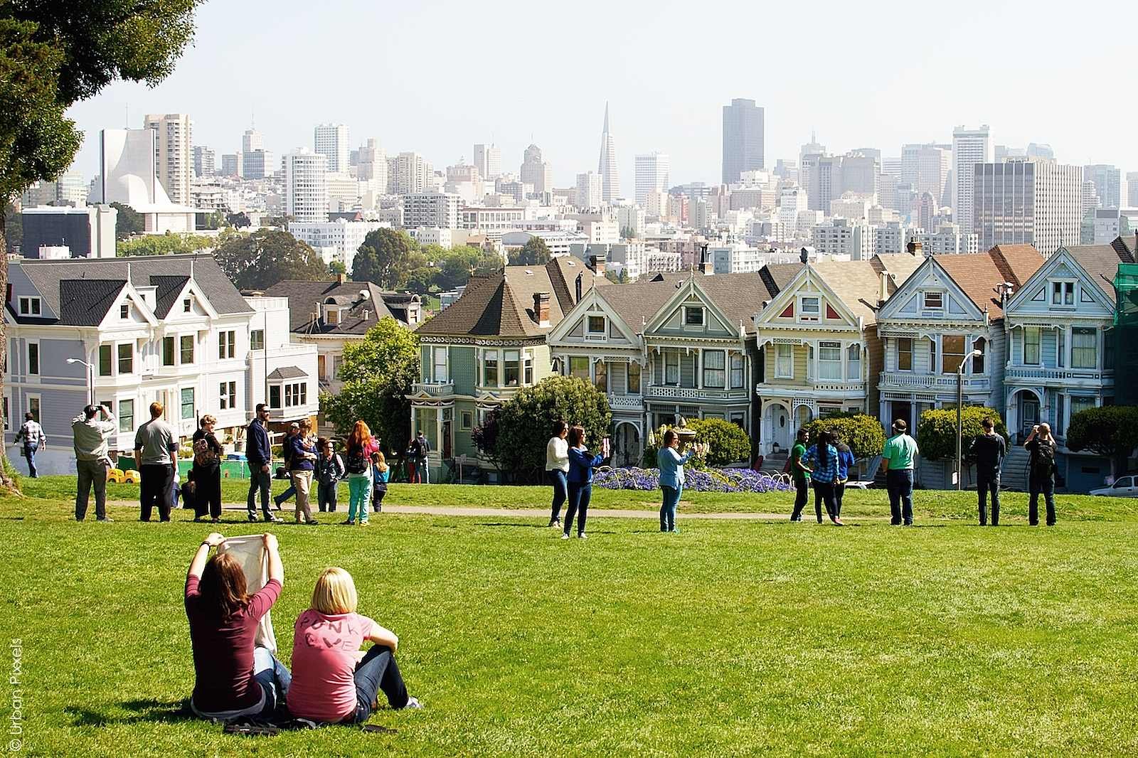 The Painted Ladies at Alamo Square in San Francisco