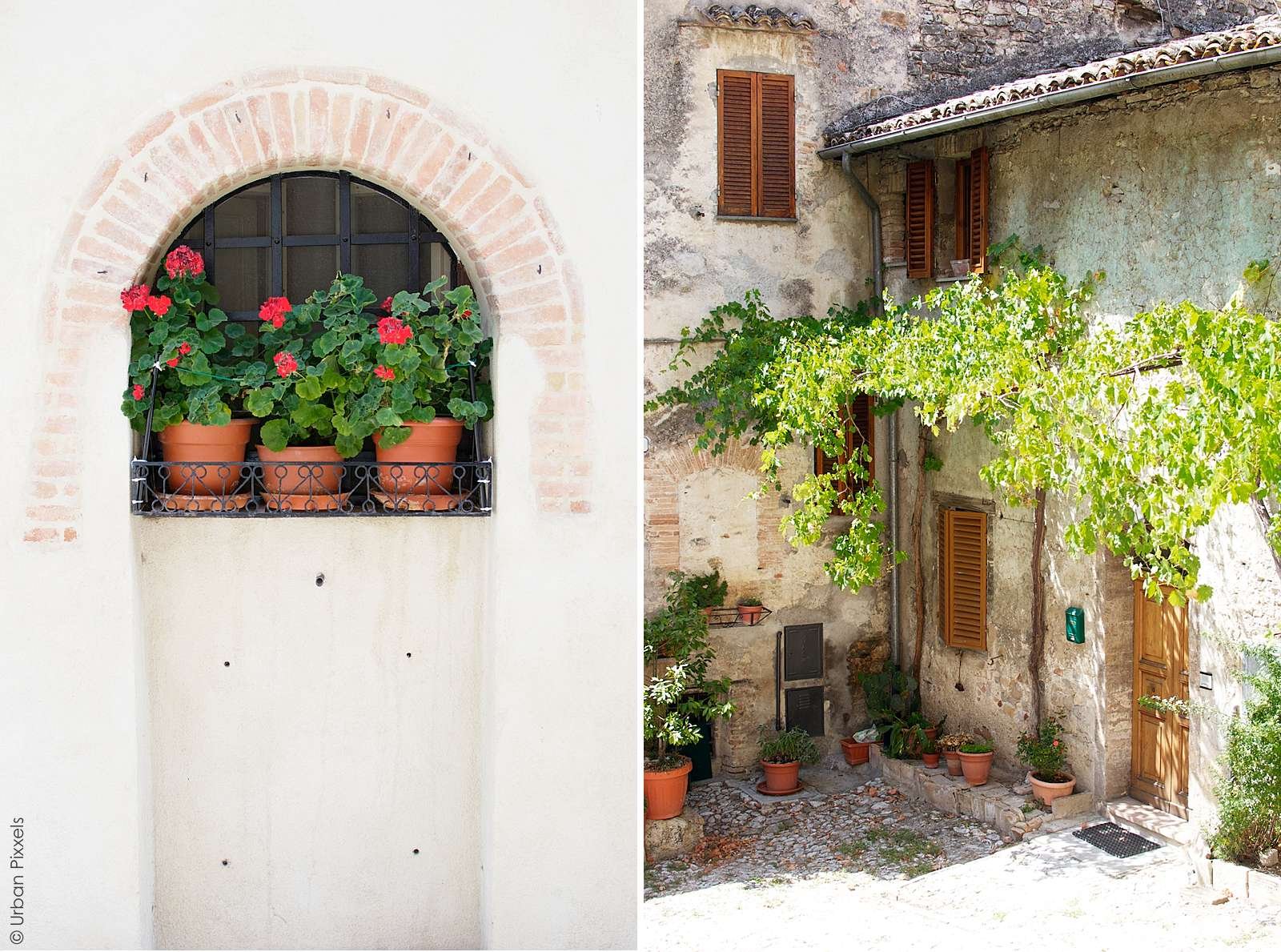 Italy Umbria House Flowers
