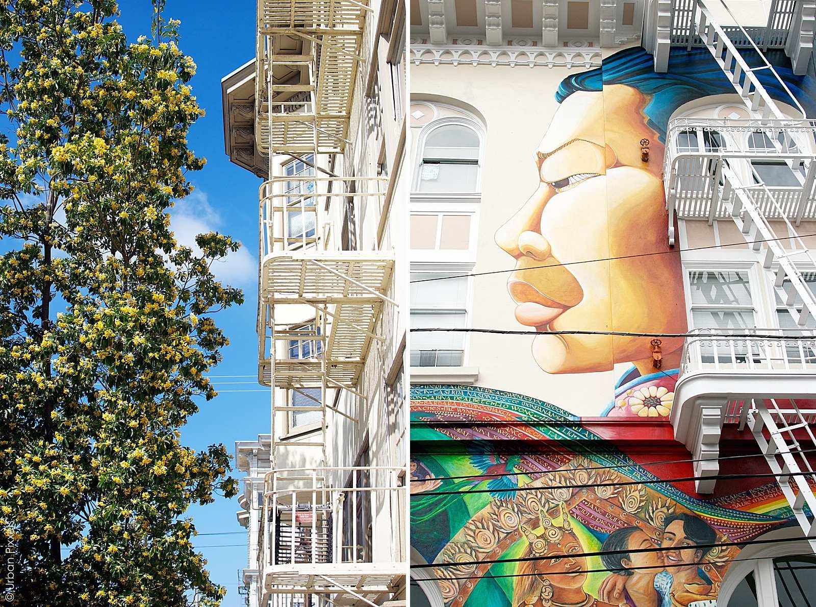 Murals in The Mission in San Francisco