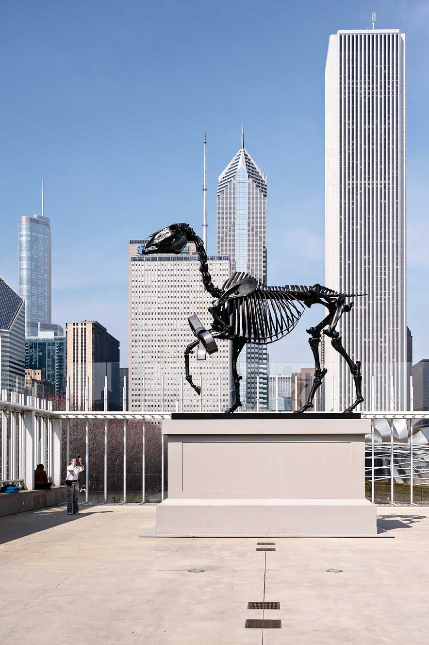 Skeleton Horse Gift Horse Hans Haacke Art Institute of Chicago. The 15 Best Things to Do and See in Chicago
