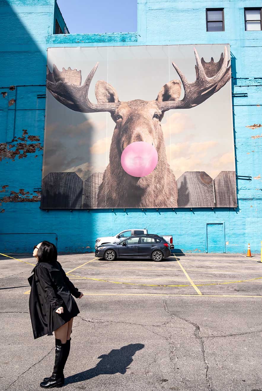 Jacob Watt Moose Bubblegum Bubble Wabash Arts Corridor. The 15 Best Things to Do and See in Chicago