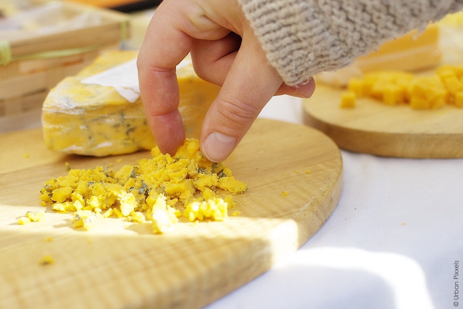 cheese tasting at London Cheese and Wine Festival
