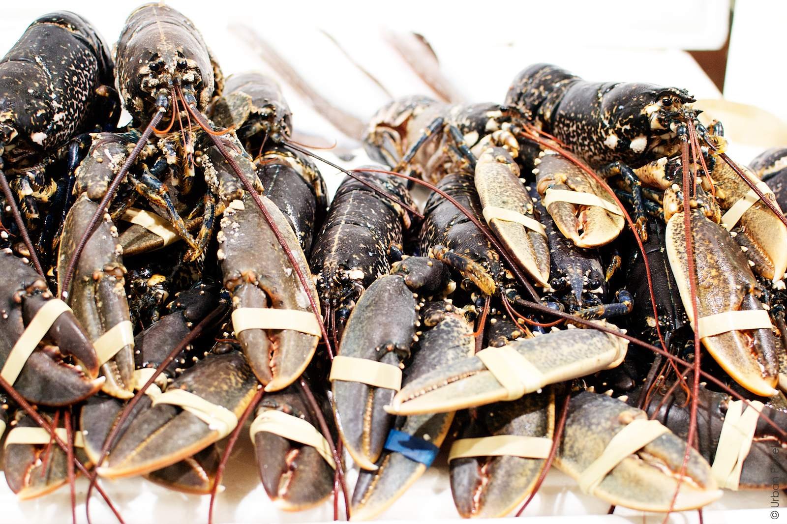 Breaking Dawn at Billingsgate Fish Market