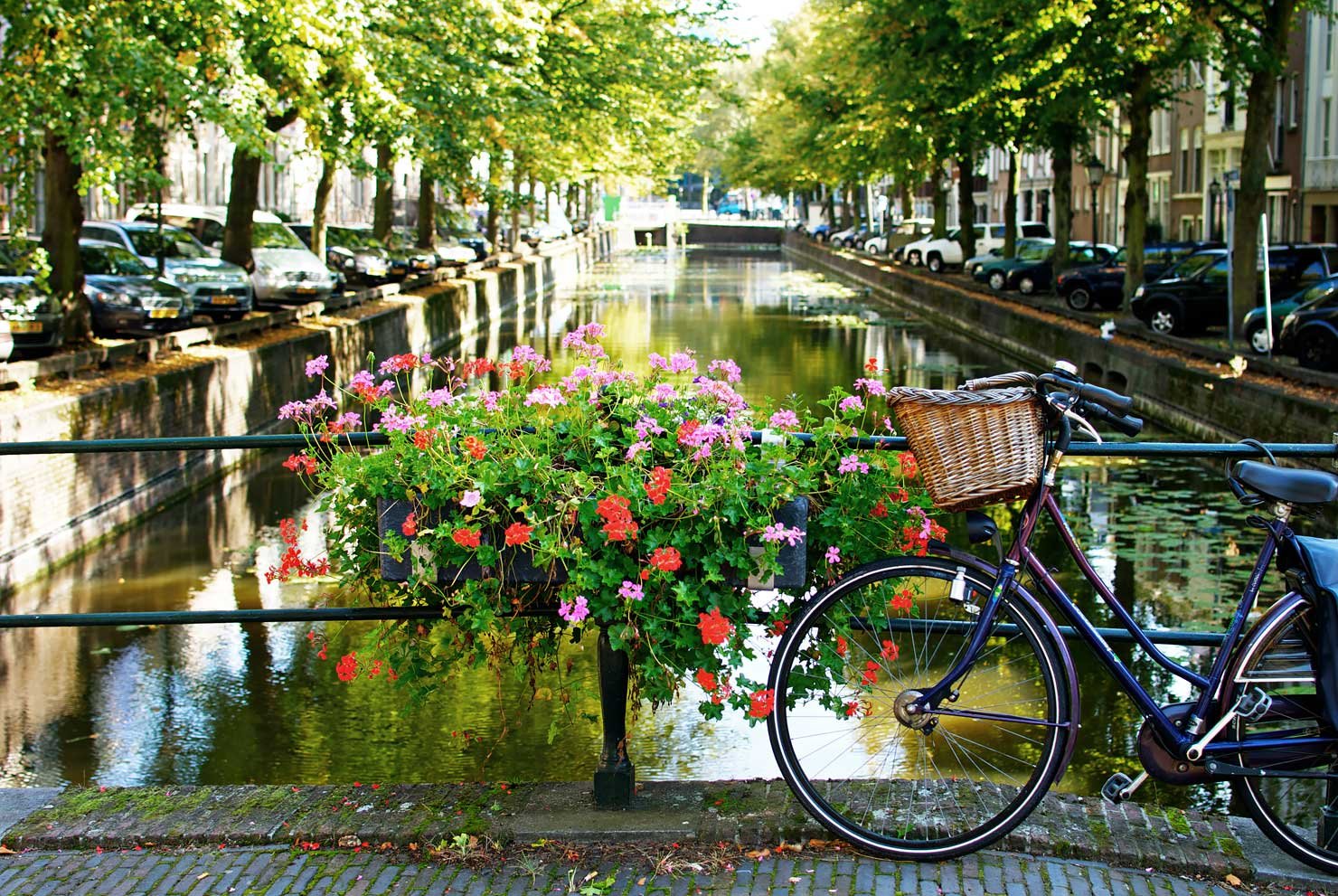 Beautiful canals in Den Haag