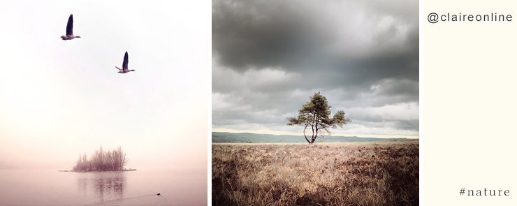 My 10 favorite photographers on Instagram - @claireonline