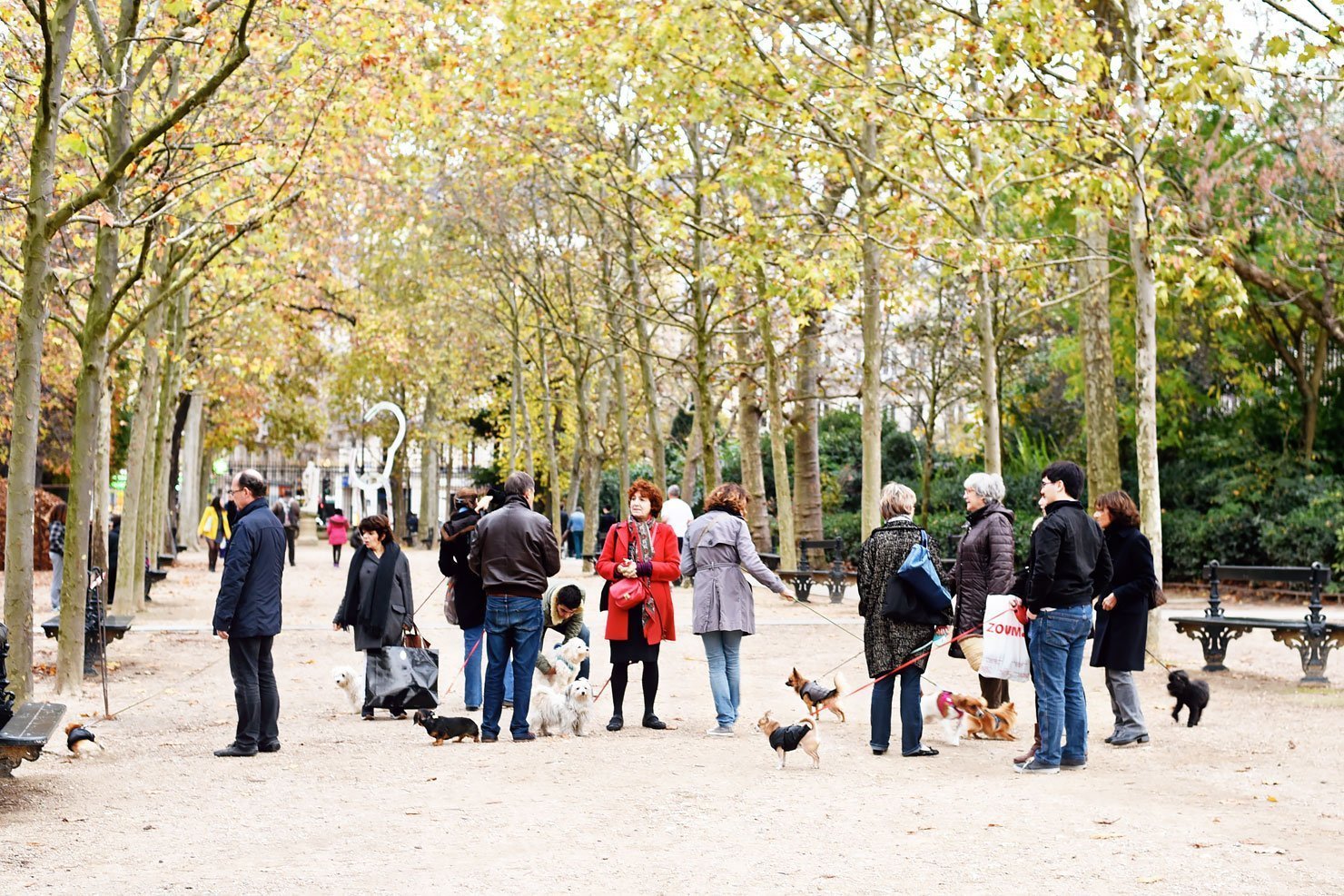 Finding the perfect boutique hotel in Paris with Hotel Tonight - People walking their dogs in Jardin du Luxembourg.
