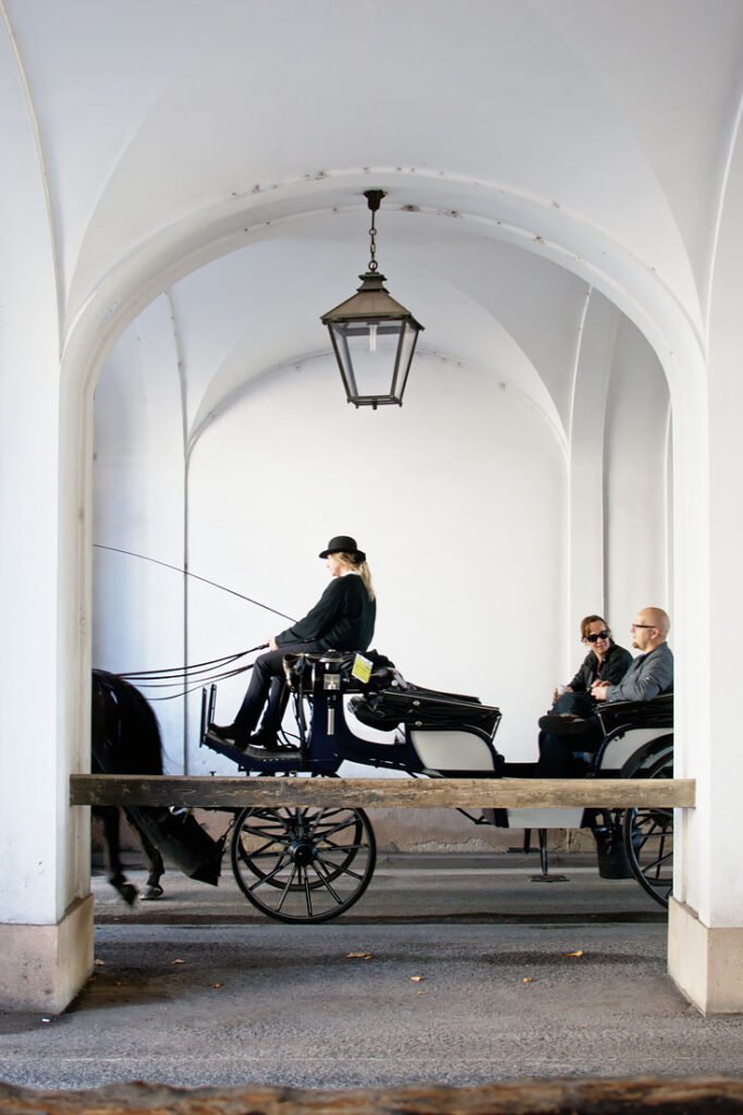 Horse Carriage Ride in Vienna