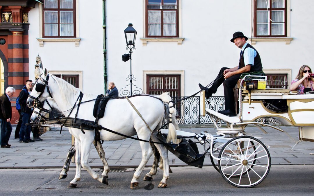 Birthday cake in Vienna