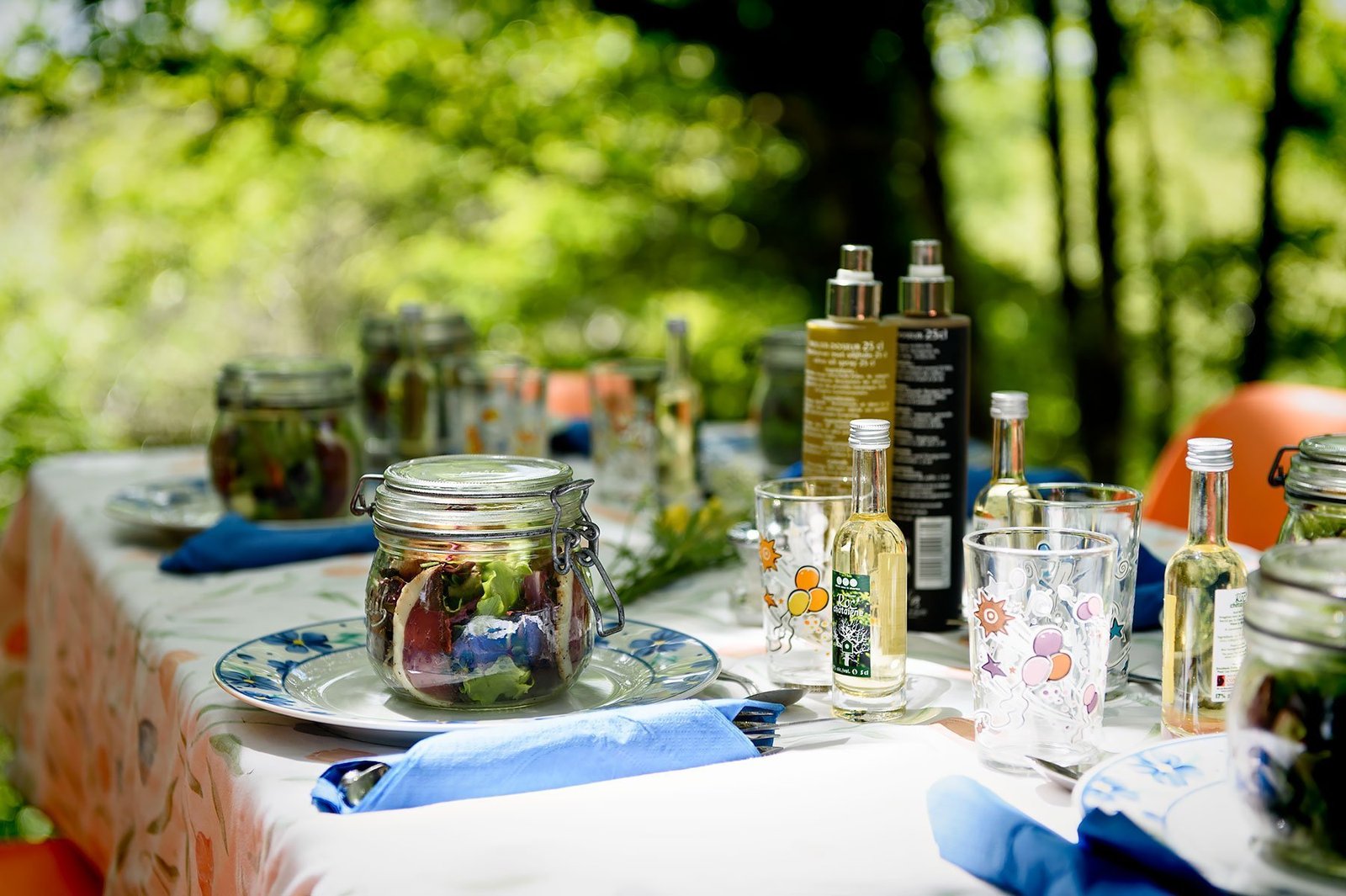 3 Amazing foodie experiences in the Dordogne Valley and Correze - A Gourmet Picnic overlooking the Valley