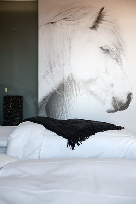 Where to stay in Iceland: ION Hotel, a luxury design hotel near the Golden Circle.