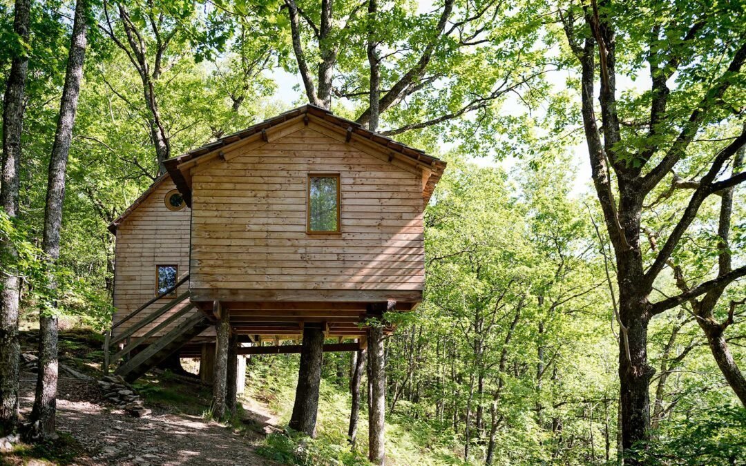 Sleeping in Corrèze: Tree House or Boutique Hotel?