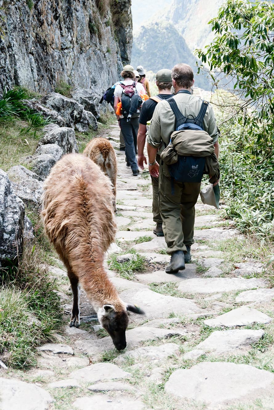 Peru - Walking the Inca Trail
