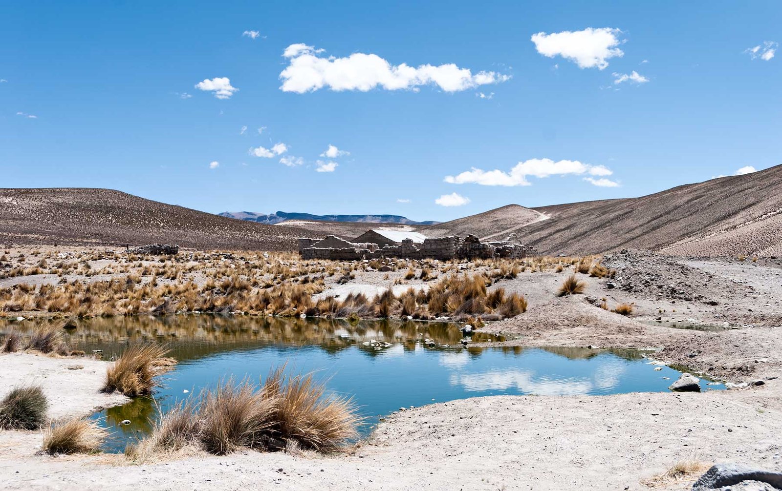 Peru - Salinas y Aguada Blanca National Reserve