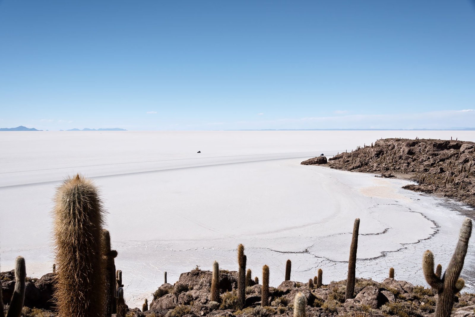 Cactus Island - Salar de Uyuni: 5 Unforgettable Experiences on Bolivia's Salt Flats and Colored Lagoons
