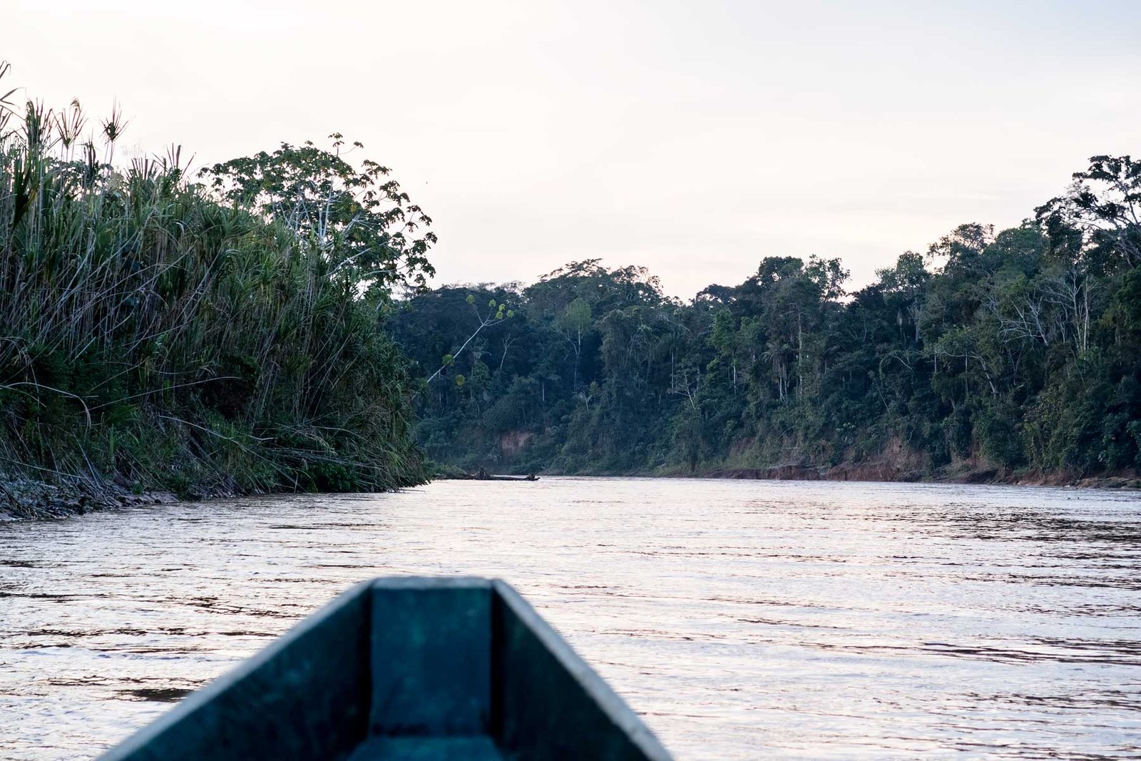 From Rurrenabaque a boat will take you to Madidi National Park
