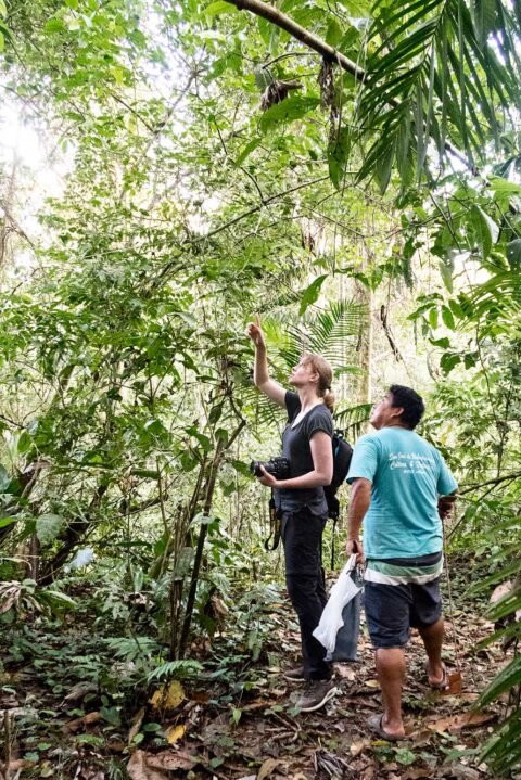 Attacked by a poisonous spider in the Amazon jungle | Urban Pixxels