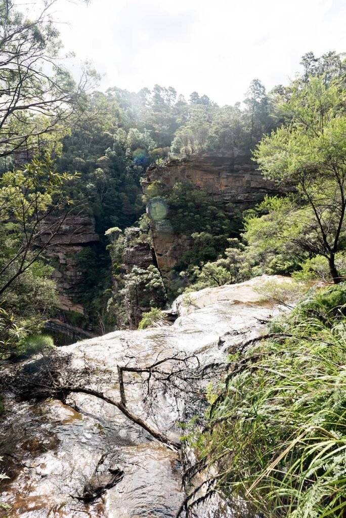 Blue Mountains: the Best Day Trip from Sydney - Wentworth Falls National Pass Waterfall