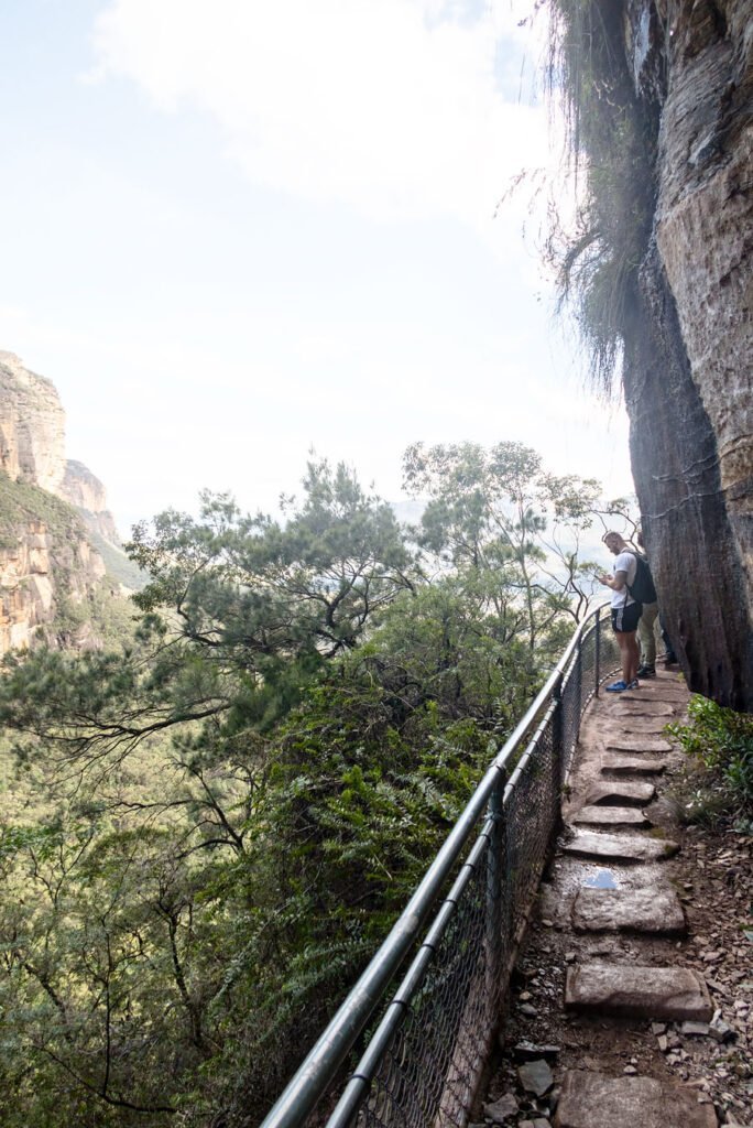 Blue Mountains: the Best Day Trip from Sydney - Wentworth Falls National Pass Walking Trail