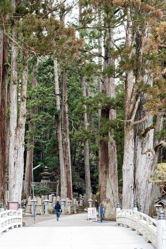 Koyasan Okunoin Cemetery | Sleeping in a Japanese Buddhist temple: a unique stay you'll never forget