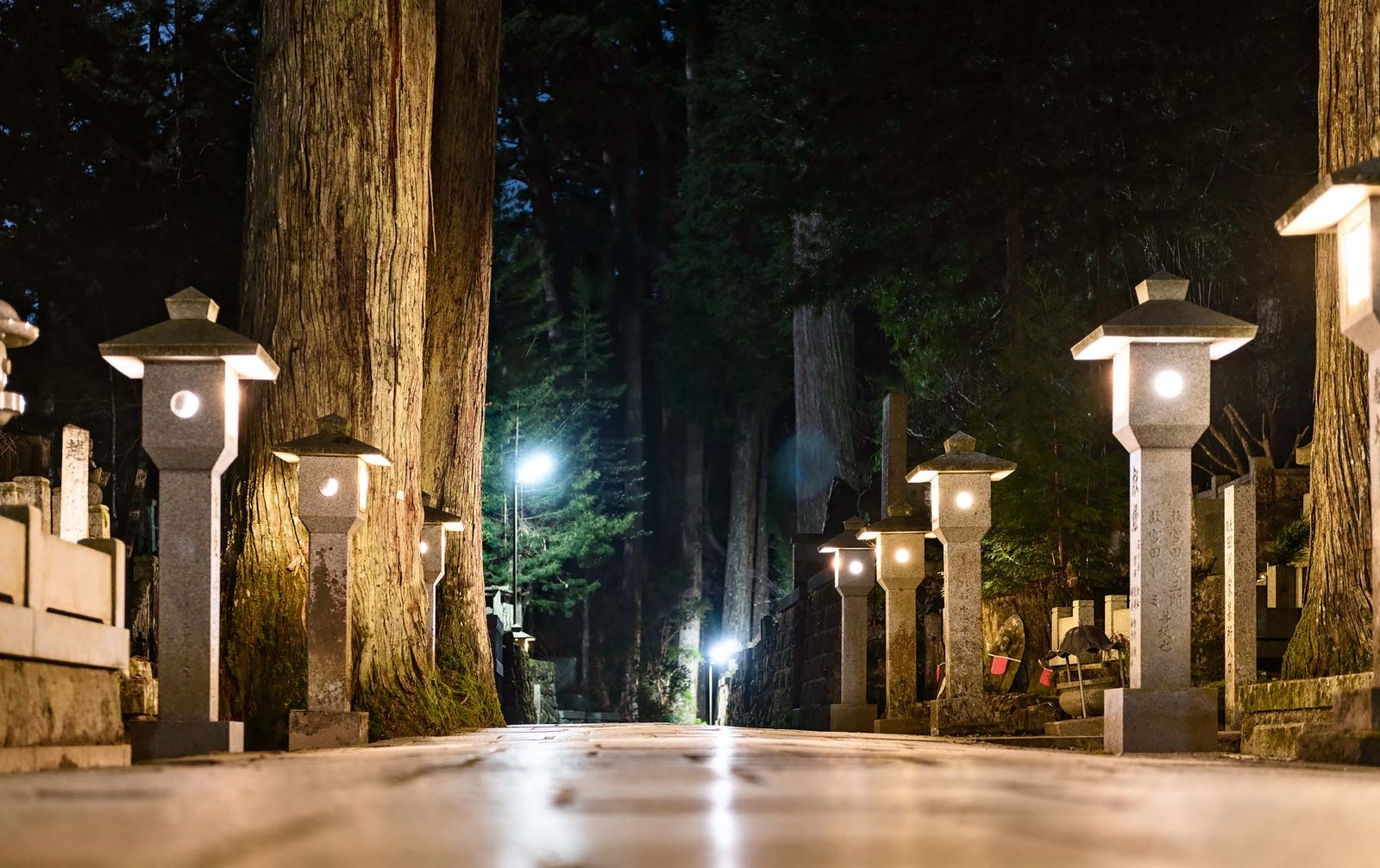 Night tour at the Okunoin Cemetery in Koyasan, Japan