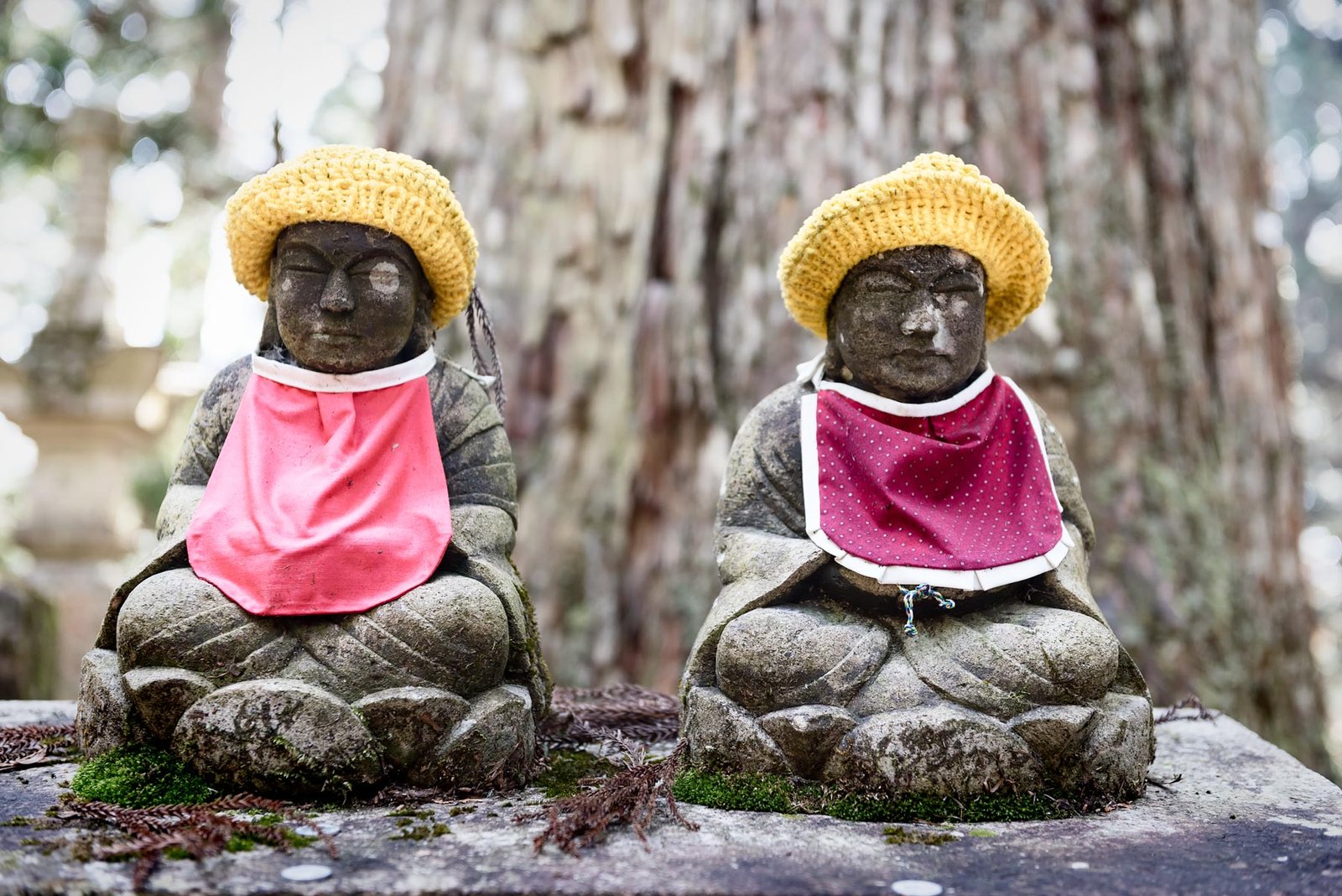 Okunoin Cemetery in Koyasan Japan