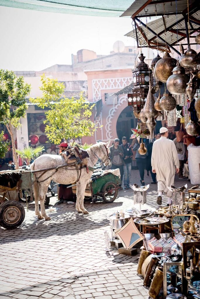 10 Amazing Things to Do in Marrakech (Marrakesh), Morocco 