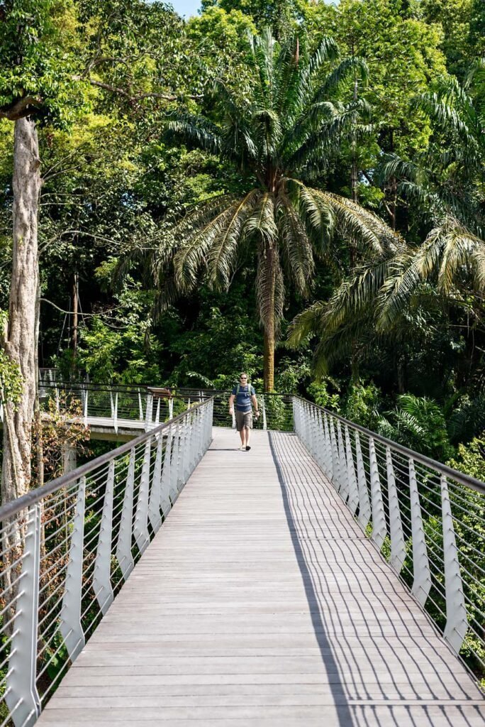 Ultimate Guide to the Best Places to Go, Eat and Stay in Singapore | Singapore Botanic Gardens