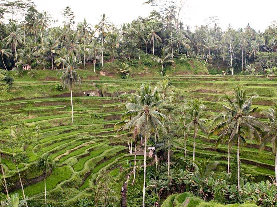 The perfect way to spend a relaxing week in Bali