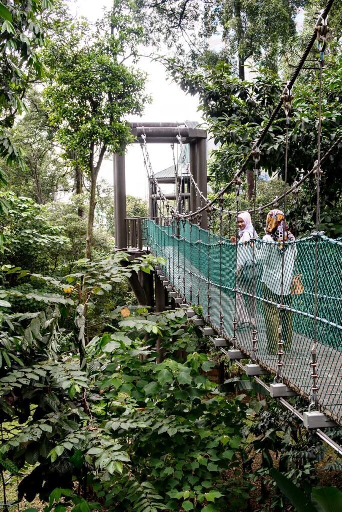 How to spend 3 amazing days in Kuala Lumpur, Malaysia - KL Forest Eco Park Canopy Walk