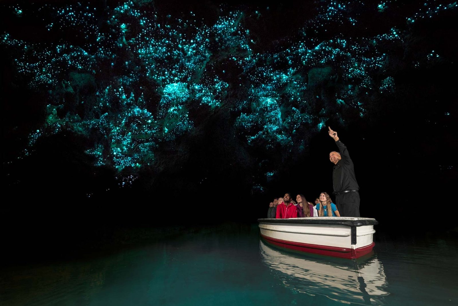 Waitomo Glowworm Caves | New Zealand's North Island in 1 Week: Road Trip Highlights and Itinerary