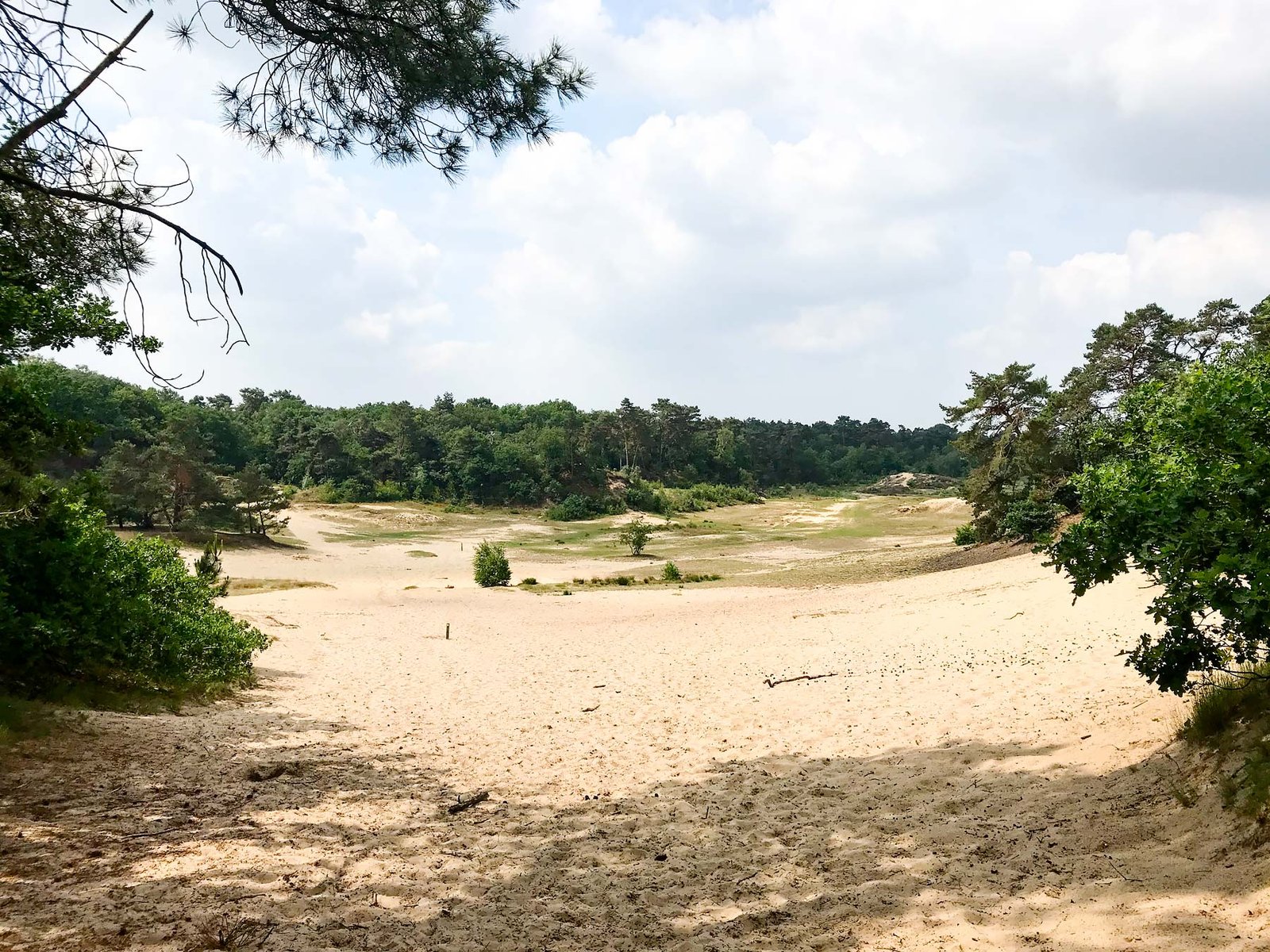 10 Things You Don’t Want to Miss When You Visit Brabant in The Netherlands | National Park 'De Loonse en Drunense Duinen'