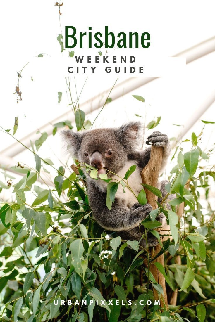 How to Spend a Fun Weekend in Brisbane, Brisbane Weekend City Guide - Read more about how to spend a fun weekend in Brisbane on urbanpixxels.com