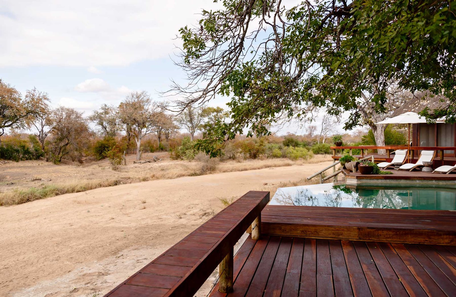 Swimming pool overlooking the dry river at Klaserie Sands River Camp - - Check out my review of staying at Klaserie Sands River Camp, a beautiful boutique (4 suites), luxury safari lodge in Greater Kruger (Big 5), South Africa