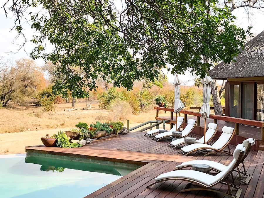 Klaserie Sands River Camp: Staying at a Luxury Safari Lodge in South Africa