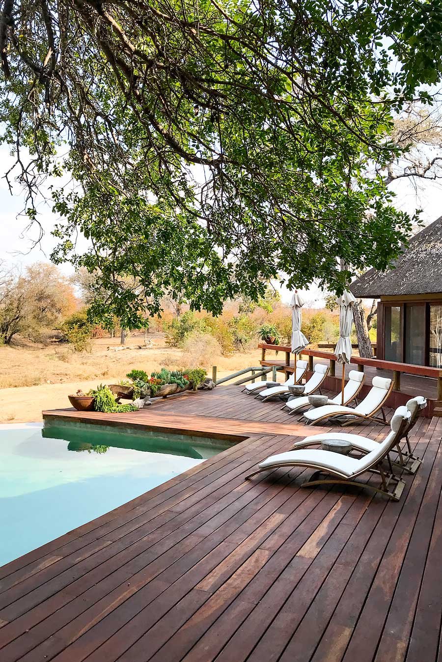 Klaserie Sands River Camp: Staying at a Luxury Safari Lodge in South Africa