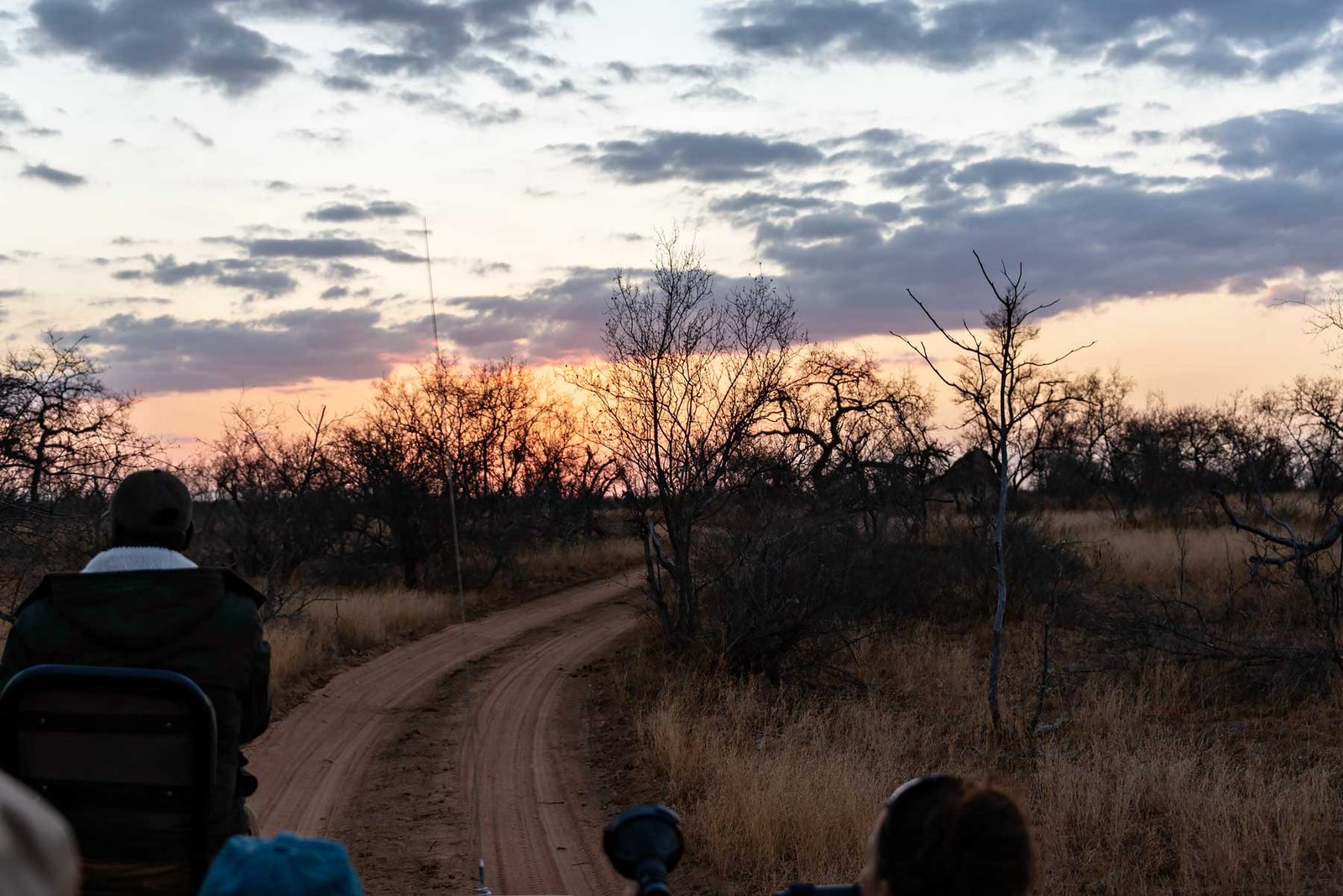 Sunset Game Drive in South Africa - - Check out my review of staying at Klaserie Sands River Camp, a beautiful boutique (4 suites), luxury safari lodge in Greater Kruger (Big 5), South Africa