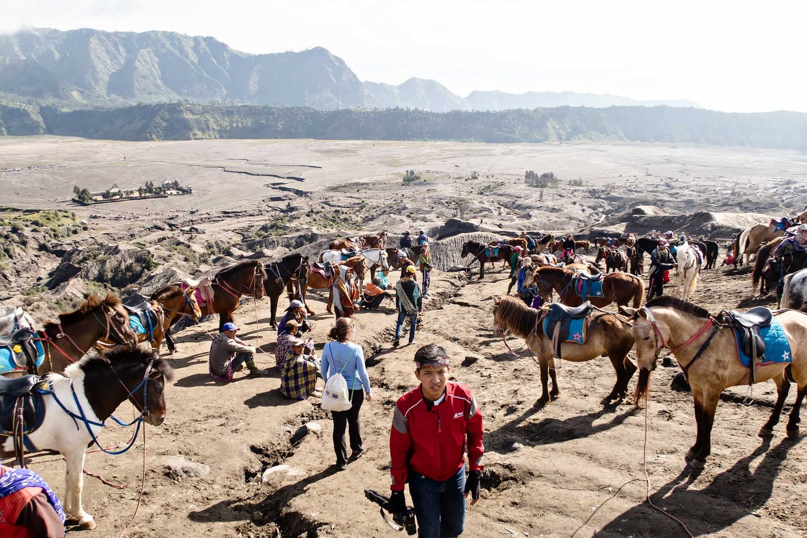 Horses at Mount Bromo. Read the review of my Mount Bromo Tour: Climbing an active volcano in East Java, Indonesia on Urban Pixxels.