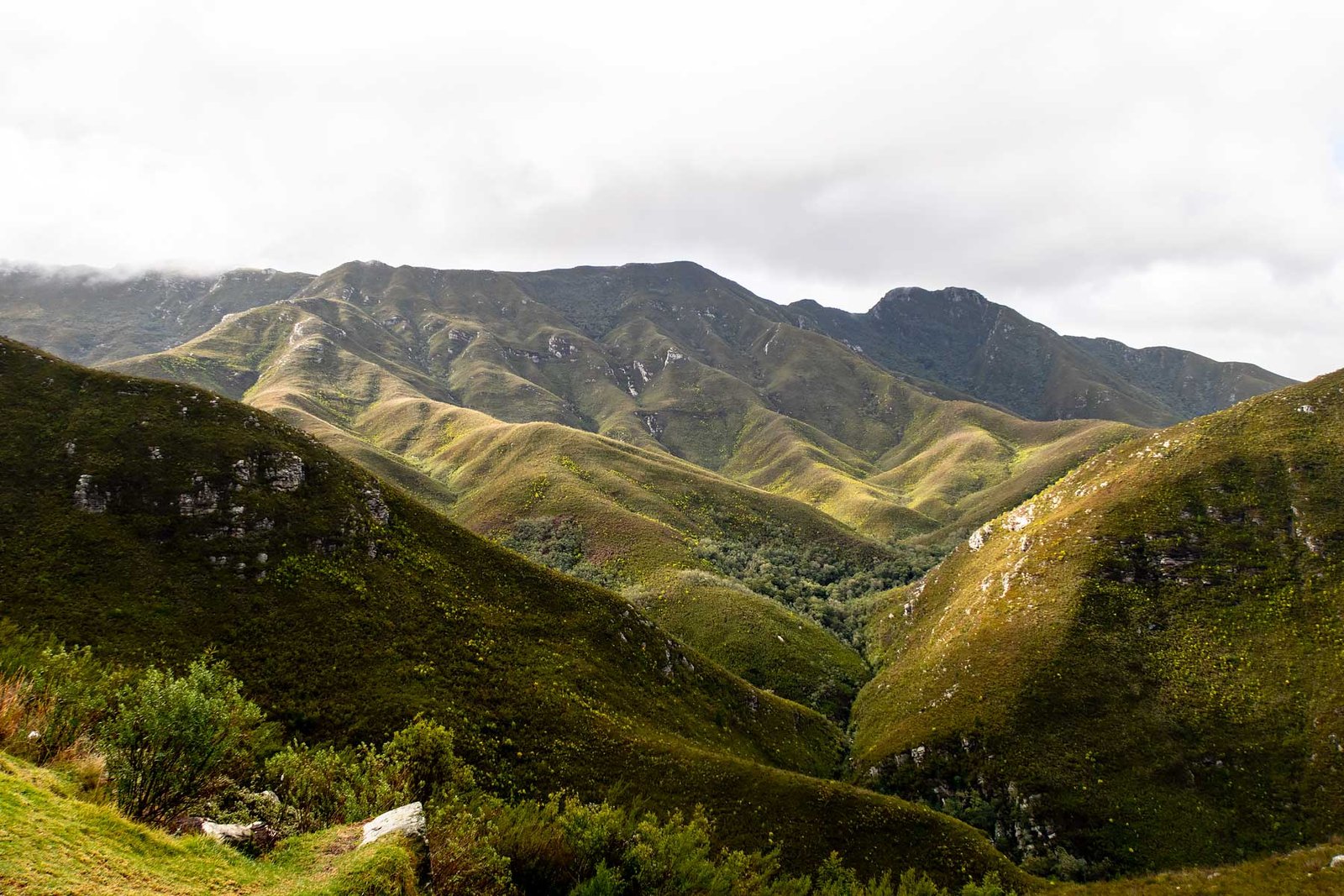 Garden Route. South Africa in 3 Weeks | The Perfect South Africa itinerary for your first trip.