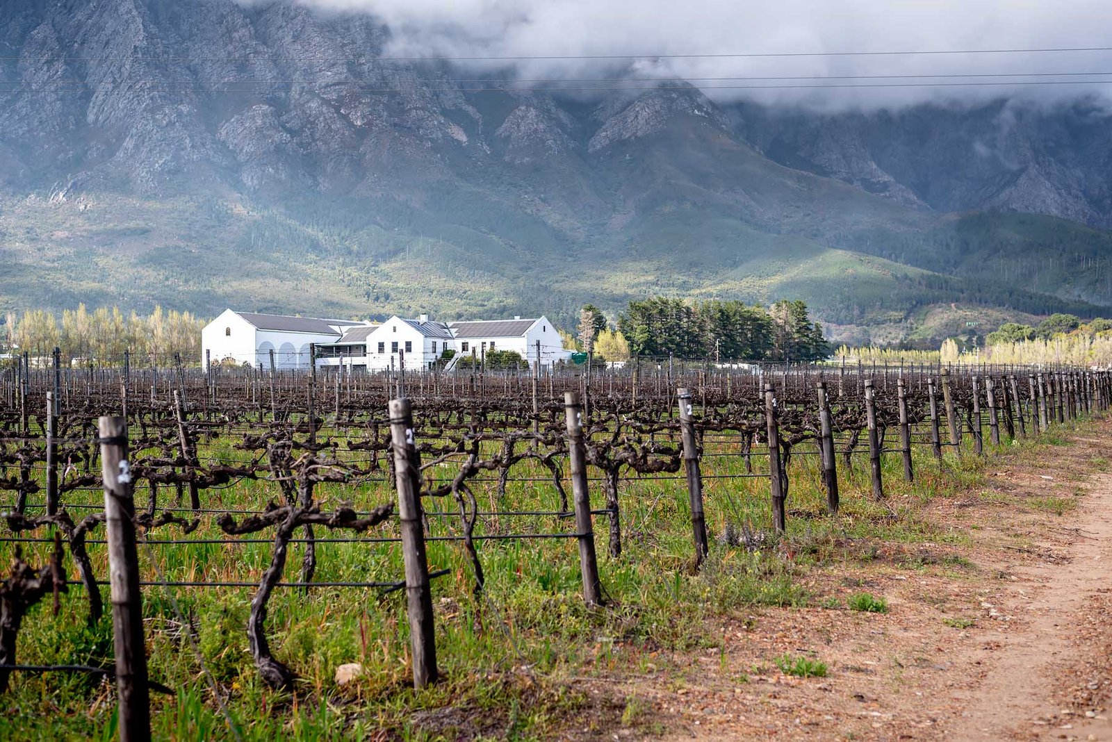 Winelands, Franschhoek. South Africa in 3 Weeks | The Perfect South Africa itinerary for your first trip.