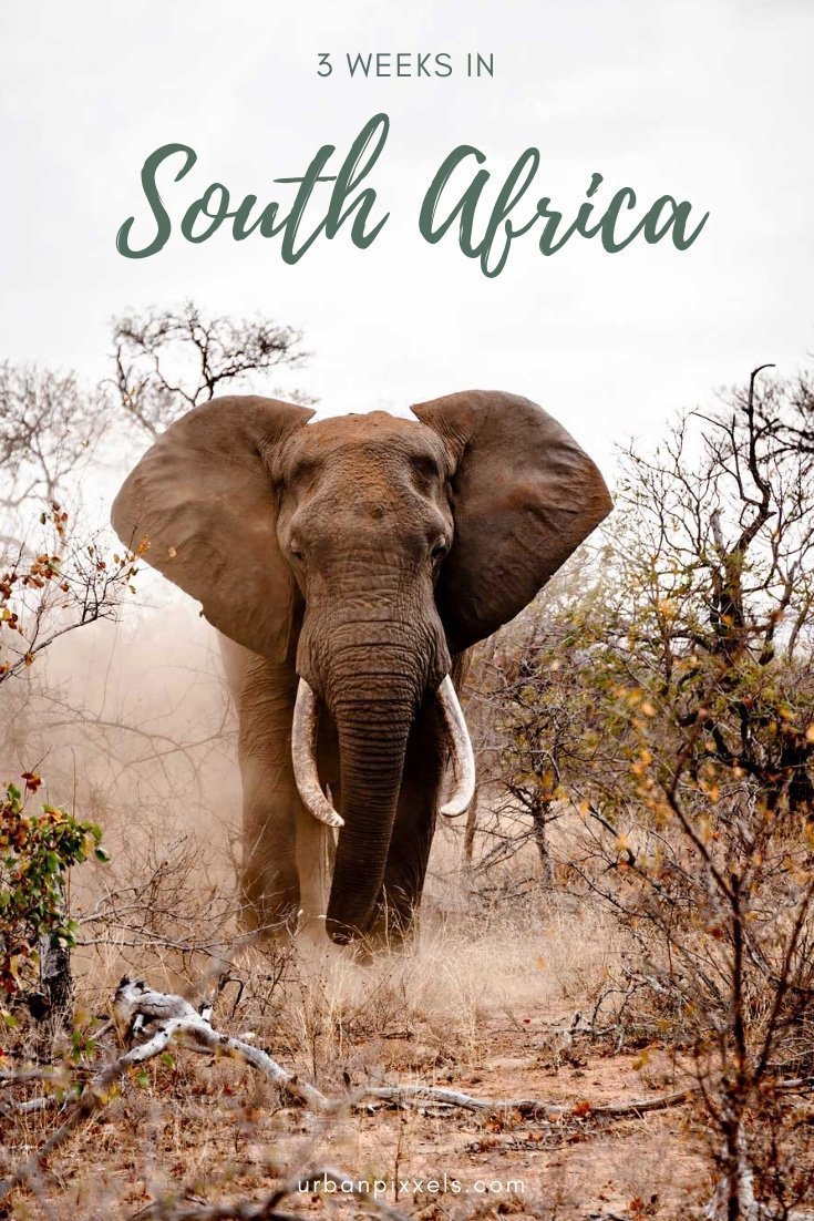 South Africa in 3 Weeks | The Perfect South Africa itinerary for your first trip.
