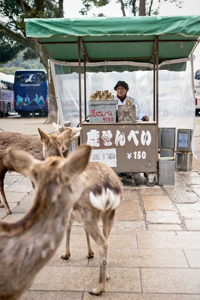 Woman selling 'deer biscuits' in Nara deer park, Japan. Nara is a great day trip from Kyoto or Osaka
