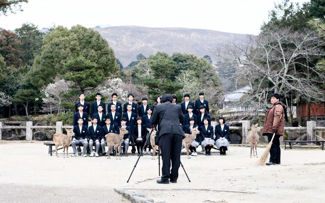 A Day Trip to Nara Deer Park in Japan