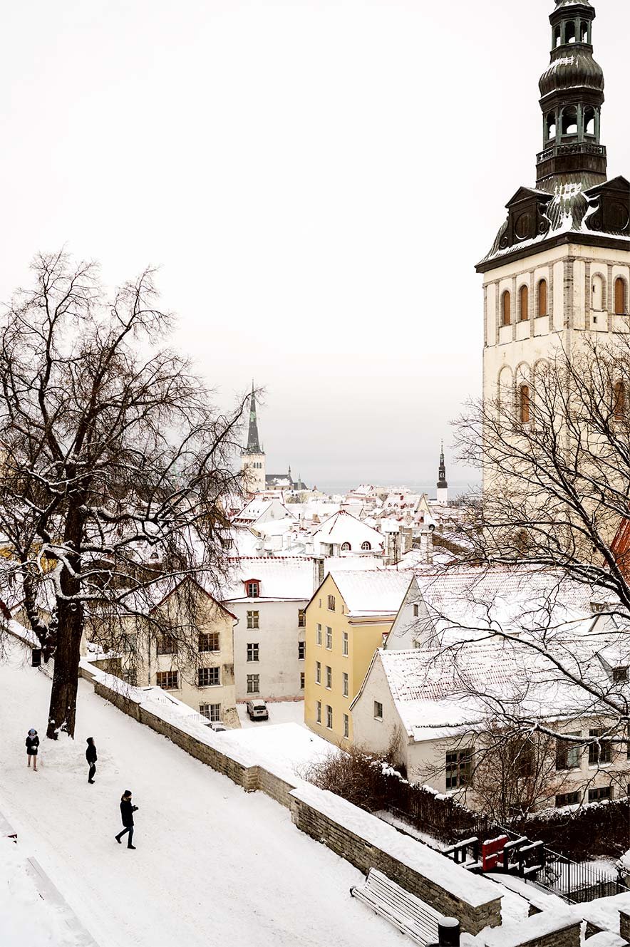 Tuin van de Deense Koning in Tallinn in de sneeuw