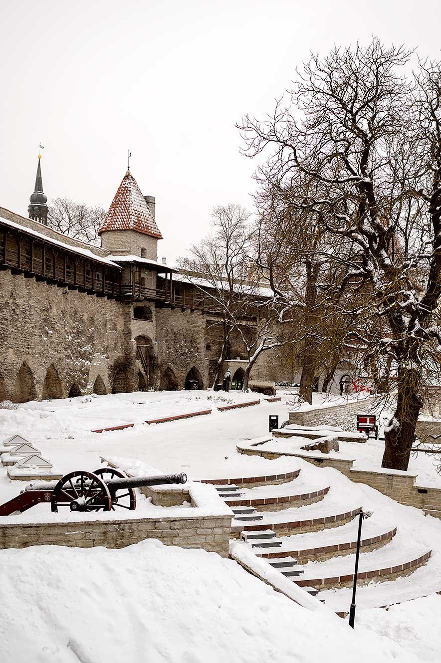 Kiek in de Kok en de stadsmuur in Tallinn in de winter