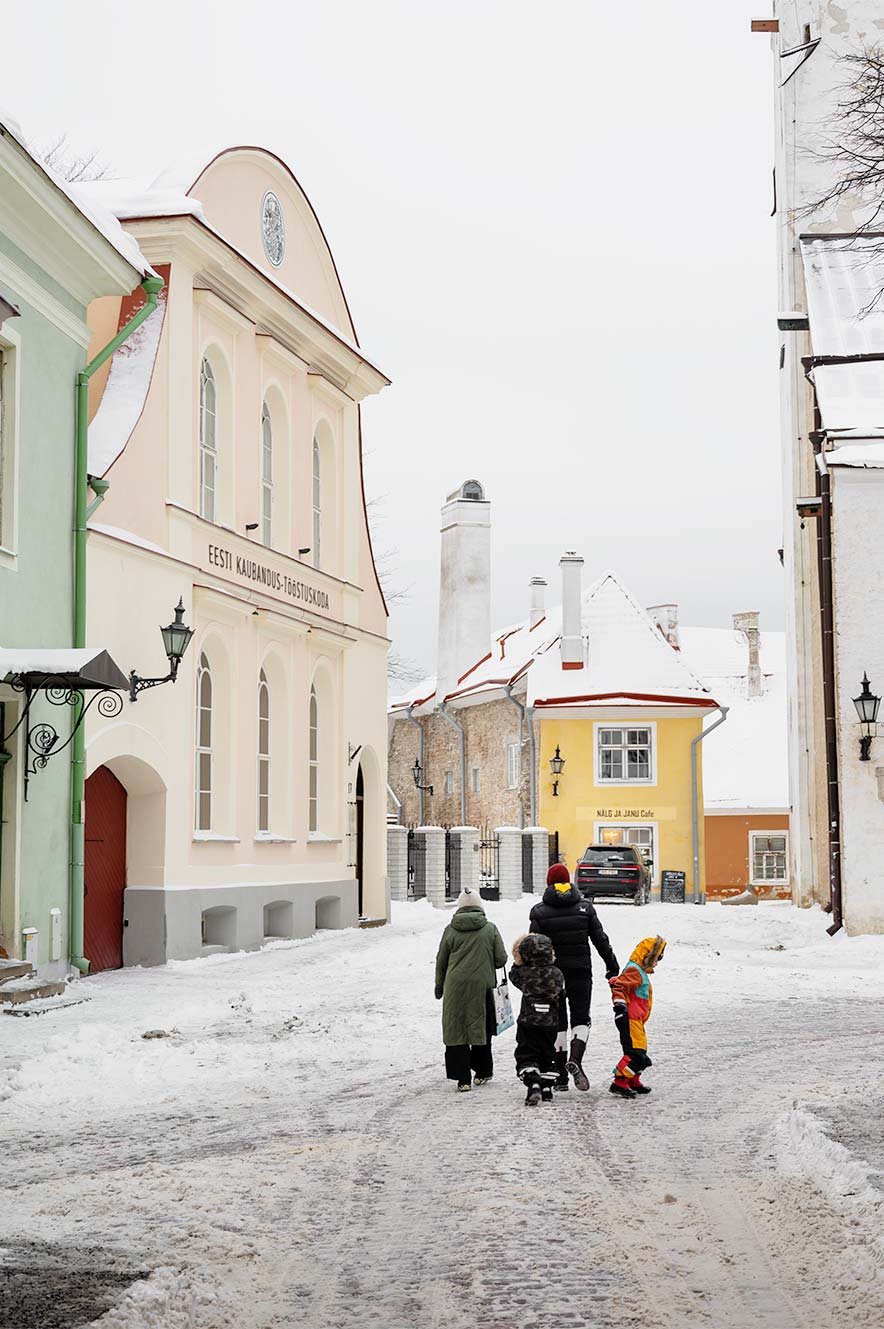 Toompea Hill in Tallinn in de sneeuw