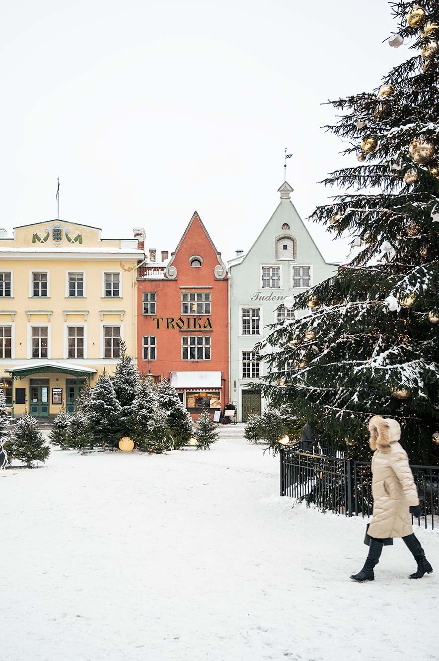 Kerstboom op Town Hall Square in Tallinn met kleurrijke huizen