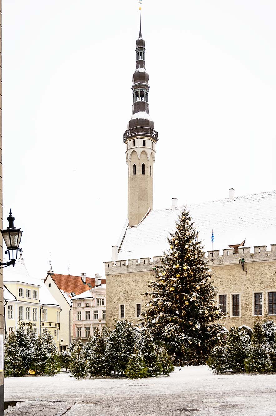 Kerstboom op Town Hall Square in Tallinn