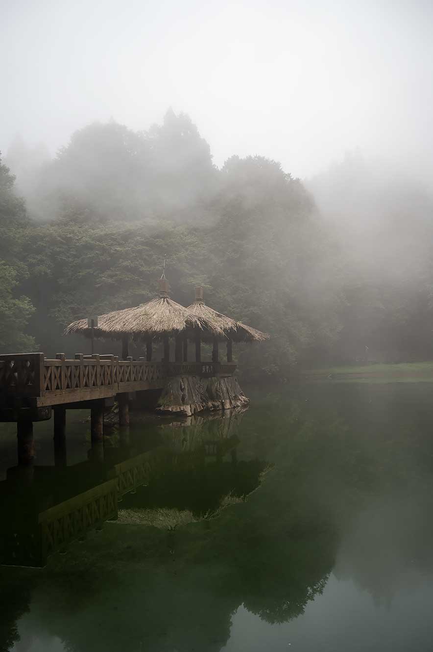 Nationaal park Alishan in Taiwan